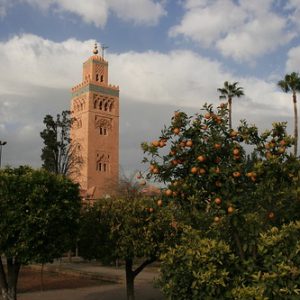 viajes marrakech tour